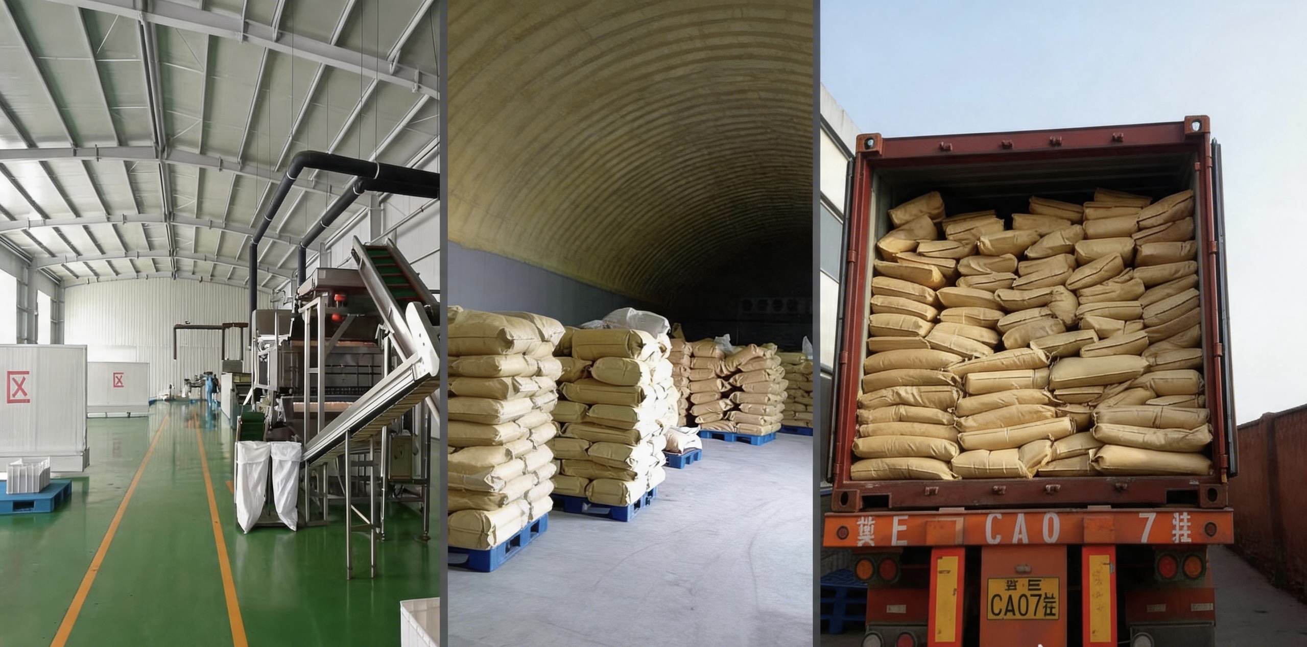 Chilli processing, warehouse storage and container loading
